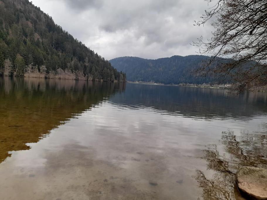 Vacances Xonrupt-Gerardmer Εξωτερικό φωτογραφία